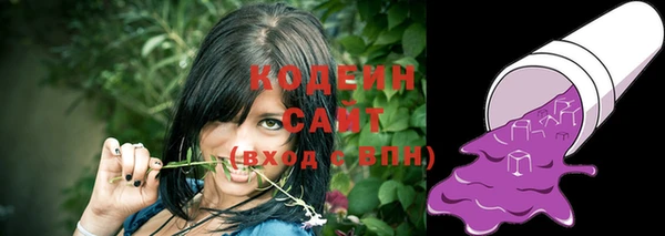 бошки Сатка