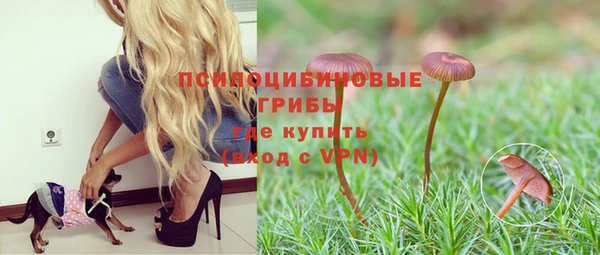 МДПВ Белоозёрский